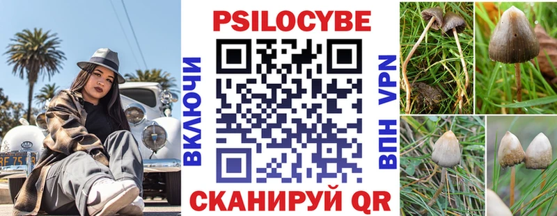 Псилоцибиновые грибы GOLDEN TEACHER  закладка  Кочубеевское 